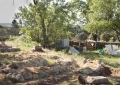 Huerto Ecológico - Compost y Vermicompost