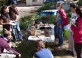 Huerto Ecológico - Compost y Vermicompost