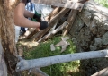 Huerto Ecológico - Compost y Vermicompost