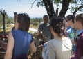 Huerto Ecológico - Compost y Vermicompost