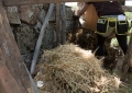 Huerto Ecológico - Compost y Vermicompost