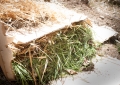 Huerto Ecológico - Compost y Vermicompost