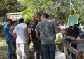 Huerto Ecológico - Compost y Vermicompost