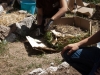 Huerto Ecológico - Compost y Vermicompost