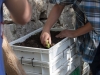 Huerto Ecológico - Compost y Vermicompost