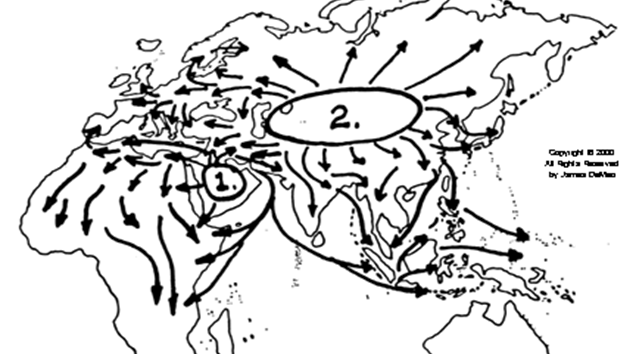 El origen de las sociedades de dominación