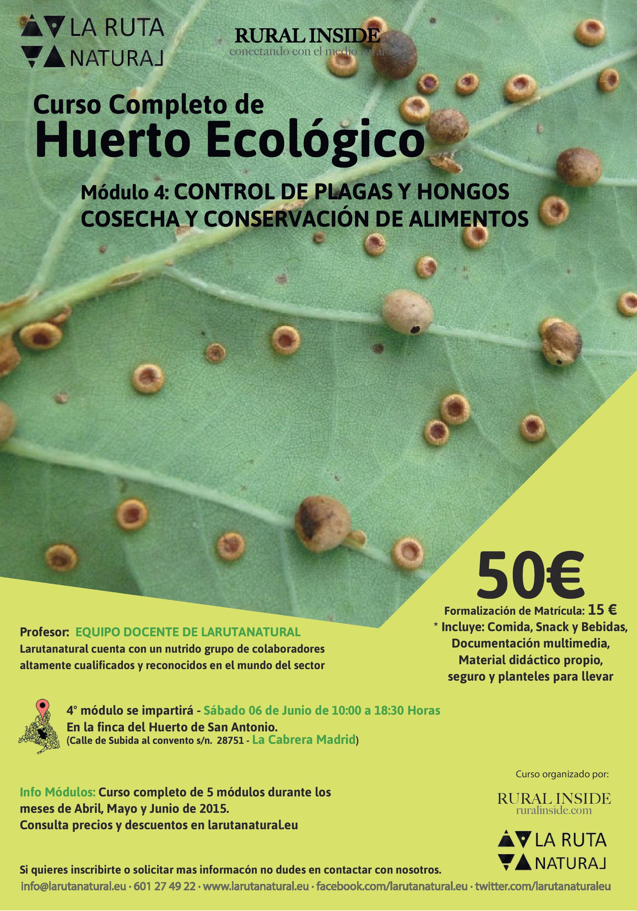 Curso Completo Huerto Ecológico – Módulo IV – Control de Plagas y Hongos + Conservas