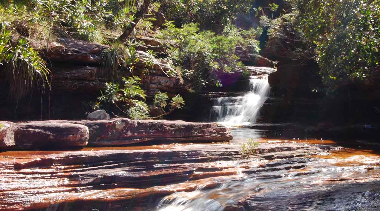 El Monte Alegre de la Chapada Diamantina