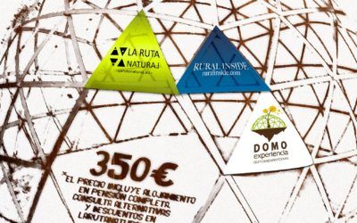 Curso Bioconstrucción Domo Geodésico de Madera