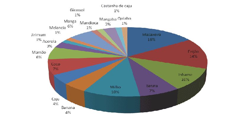 Figura 2. Principales productos producidos por los asentados (Paladini, 2009).