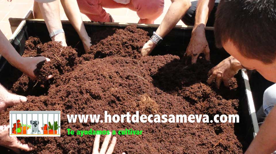 hortadecasameva