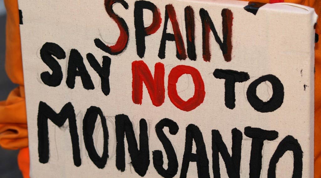 España acaba como el laboratorio europeo de Monsanto
